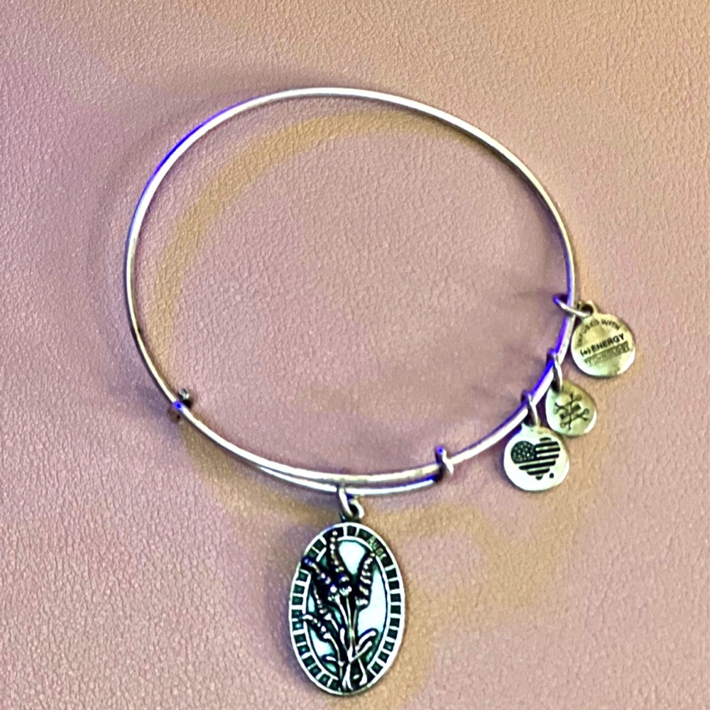 Alex and Ani 2016 Silver Aunt Bracelet